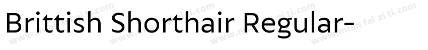 Brittish Shorthair Regular字体转换
